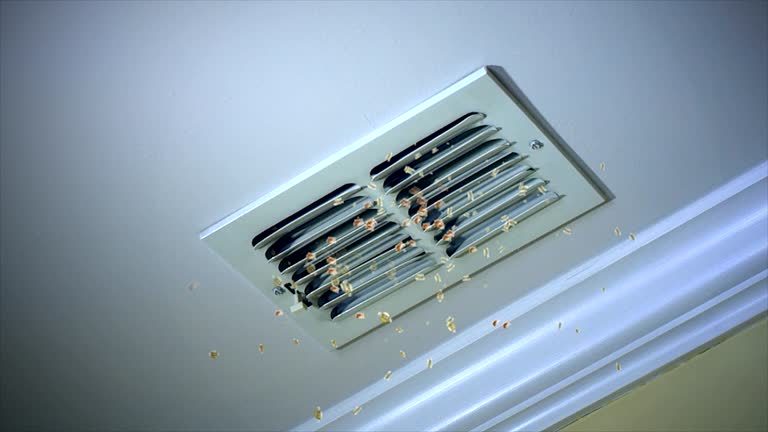 Best Emergency Air Duct Cleaning  in North Sarasota, FL
