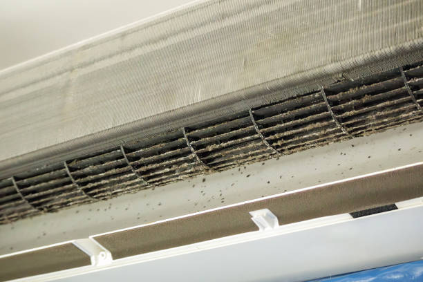 Best Ventilation Cleaning Services  in North Sarasota, FL